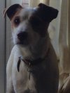 [Bonesmart.org] Woohoo I'm starting to feel better!