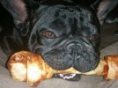 [Bonesmart.org] copsham's recovery thread