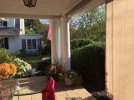 [Bonesmart.org] My Big THR Recovery-Crickethip
