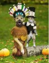 [Bonesmart.org] Timetolive's Nov 9th TKR Post -OP<<