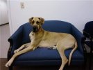 [Bonesmart.org] Deep Breath Reporting for Recovery Duty