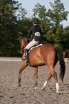 [Bonesmart.org] Bj Mac's Recovery