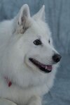 [Bonesmart.org] Bj Mac's Recovery