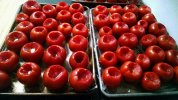 [Bonesmart.org] Lovetocookandsew’s long road to recovery