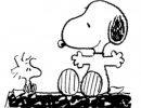 [Bonesmart.org] tjcteacher's recovery thread<
