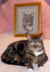 [Bonesmart.org] Tabbycat's Recovery<