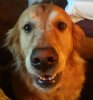 [Bonesmart.org] One thing after another with my TKR<