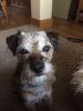 [Bonesmart.org] Ten weeks later . . .<<'