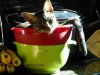 [Bonesmart.org] Mireille's RTKR 4 months