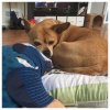 [Bonesmart.org] My Revision Journey<
