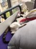 [Bonesmart.org] Nensi_New_Nees