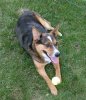 [Bonesmart.org] Aussie's Posterior LTHR