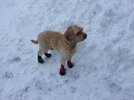 [Bonesmart.org] Long daily walks : good or bad ?