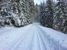 [Bonesmart.org] Long daily walks : good or bad ?