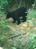 [Bonesmart.org] Jennszoo Staged TKR, working on running again