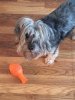 [Bonesmart.org] Pheebs52 Recovery Discovery Journey May 22