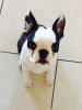 [Bonesmart.org] Milosnanna's Recovery Thread<