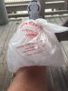[Bonesmart.org] New Year, New Knee - Jan. 3, 2017<