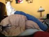 [Bonesmart.org] 2017 October Feisties - Are you having knee surgery in October?