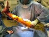 [Bonesmart.org] Revision again