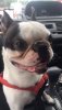[Bonesmart.org] Milosnanna's Recovery Thread<