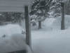 [Bonesmart.org] Recovery in Labrador