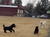 [Bonesmart.org] Turning point