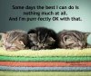 [Bonesmart.org] How do you think I am doing?<