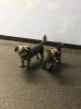 [Bonesmart.org] Hike’s Recovery