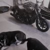 [Bonesmart.org] Hi, Yearly update
