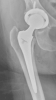 [Bonesmart.org] Bumblebee in Recovery