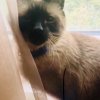 [Bonesmart.org] 1st Surgery has 2nd Surgery