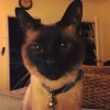 [Bonesmart.org] Seeing the Light!