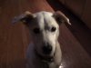 [Bonesmart.org] Seeing the Light!