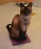 [Bonesmart.org] Two New Hips in Six Weeks