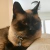 [Bonesmart.org] Celebrating one at a time, encore!