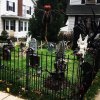 [Bonesmart.org] I've Got a New Attitude (OK, Hip)