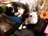 [Bonesmart.org] My recovery thread.
