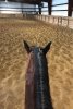 [Bonesmart.org] Riding to the other side<