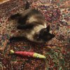 [Bonesmart.org] Two New Hips in Six Weeks