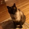 [Bonesmart.org] 1st Surgery has 2nd Surgery