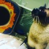 [Bonesmart.org] 1st Surgery has 2nd Surgery