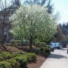 [Bonesmart.org] My recovery thread.