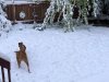 [Bonesmart.org] Another Second Chance