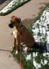 [Bonesmart.org] Another Second Chance