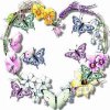 [Bonesmart.org] Izabel, Walking on Sunshine