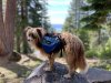 [Bonesmart.org] Thatlldo's recovery thread