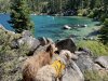 [Bonesmart.org] Thatlldo's recovery thread