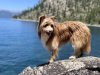 [Bonesmart.org] Thatlldo's recovery thread