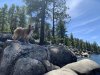 [Bonesmart.org] Thatlldo's recovery thread